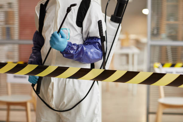 Professional Sewage Cleanup technician working in Maywood, NJ